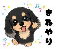 880944607