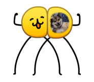880945691