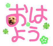 880946285