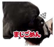 880952459