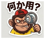 880955245