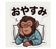 880955256