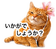 880975070