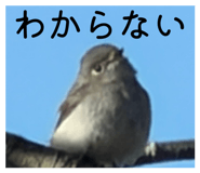 880978418