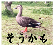 880978426