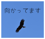880978432