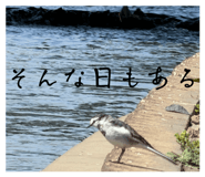880978433