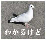 880978434