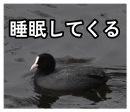 880978438