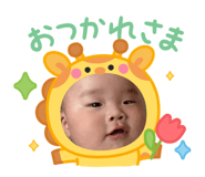 880980016