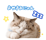 880984499