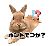 880986866