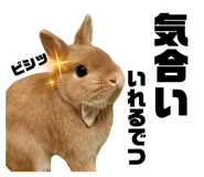 880986870