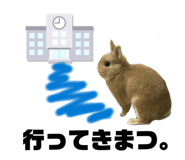 880986879