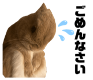 880986881
