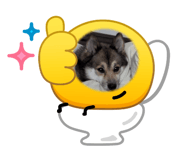 880986974