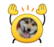 880986975