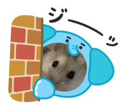 880987667