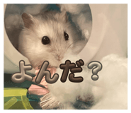 880987669