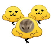 880987676