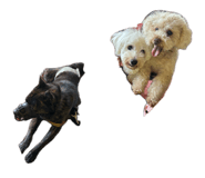 880987694