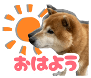 880987776
