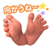 880987941