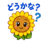 880988088