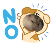 880988184