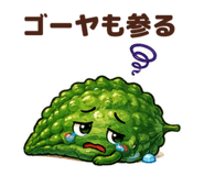 880988427