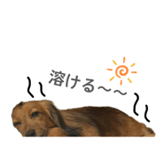 880988853