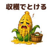 880989126