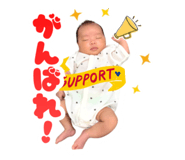 880989205