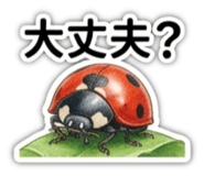 880993816