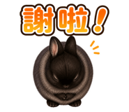 881011303