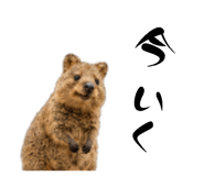 881012661