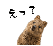 881012667
