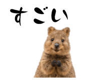 881012672