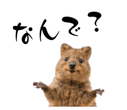 881012673