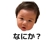 881013381