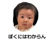 881013384