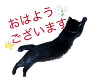 881014545