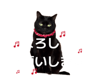 881014549