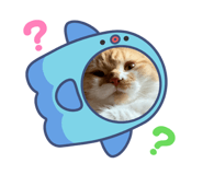 881014964