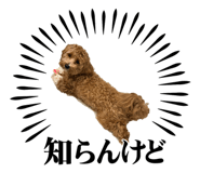 881015191