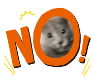 881016102