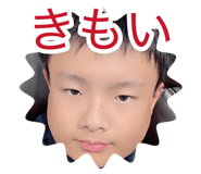 881016293