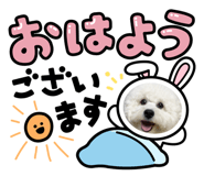 881016350