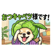 881016401