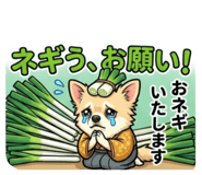 881016407